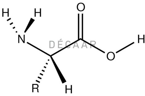 Amino Acid Là Gì? Những Tác Dụng Của Amino Acid Đối Với Da?